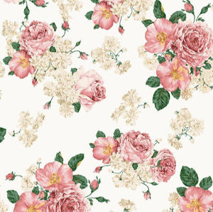 Meet your Posher, Isabella